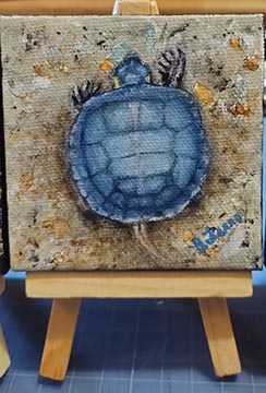 Baby Painted Turtle - Mini