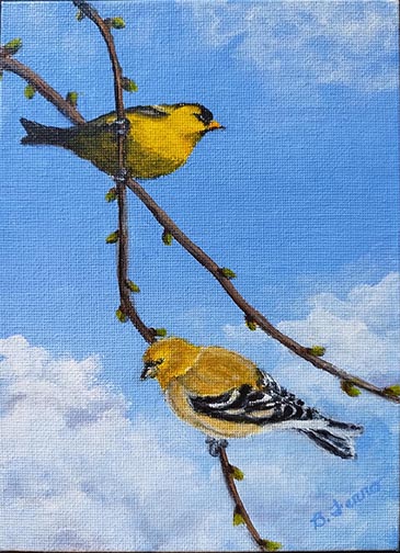 Goldfinches on Vines