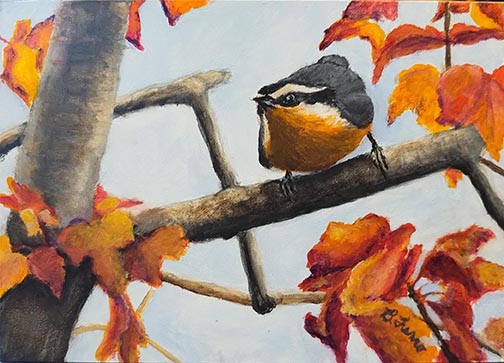 Lift Off - Red Breasted Nuthatch