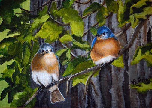 Morning Chat - Bluebirds