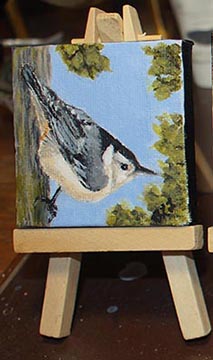 Nuthatch - Mini