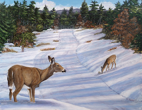 Oh! Deer!