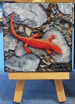 Red Eft - Newt - Mini