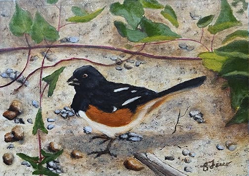 Towhee & Ivy