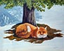 Winter Nap - Fox